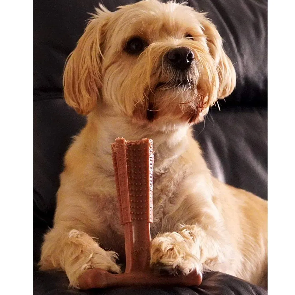 Bamboodles Small T-Bone Bamboo & Nylon Beef Flavour Dog Chew