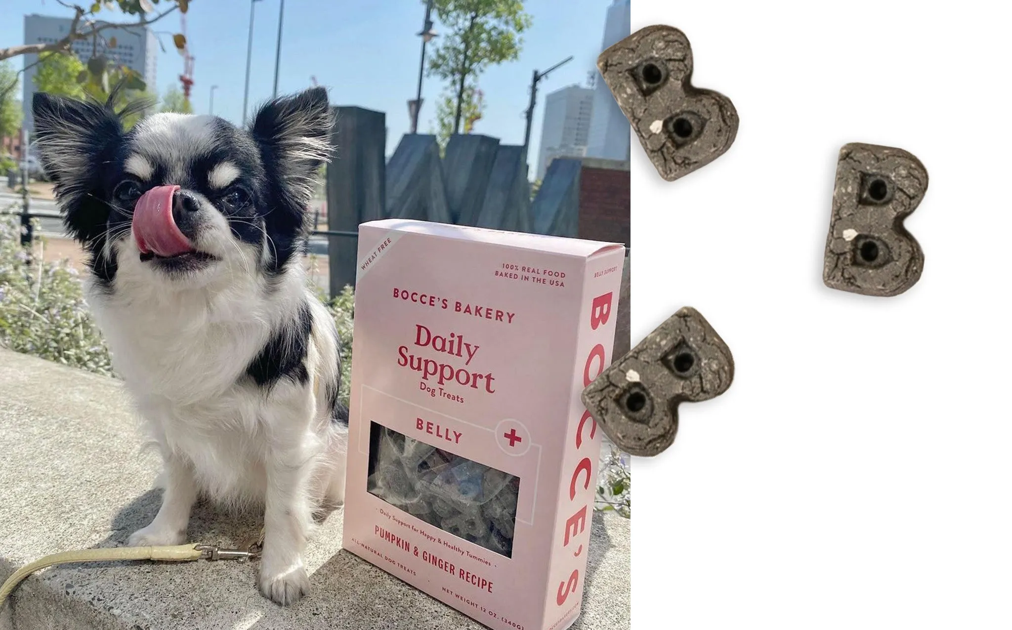 Bocce's Bakery Basics Daily Support Bundle