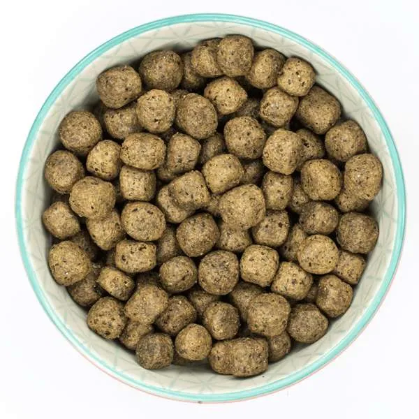 Burns Free From Puppy Duck & Potato Buckwheat