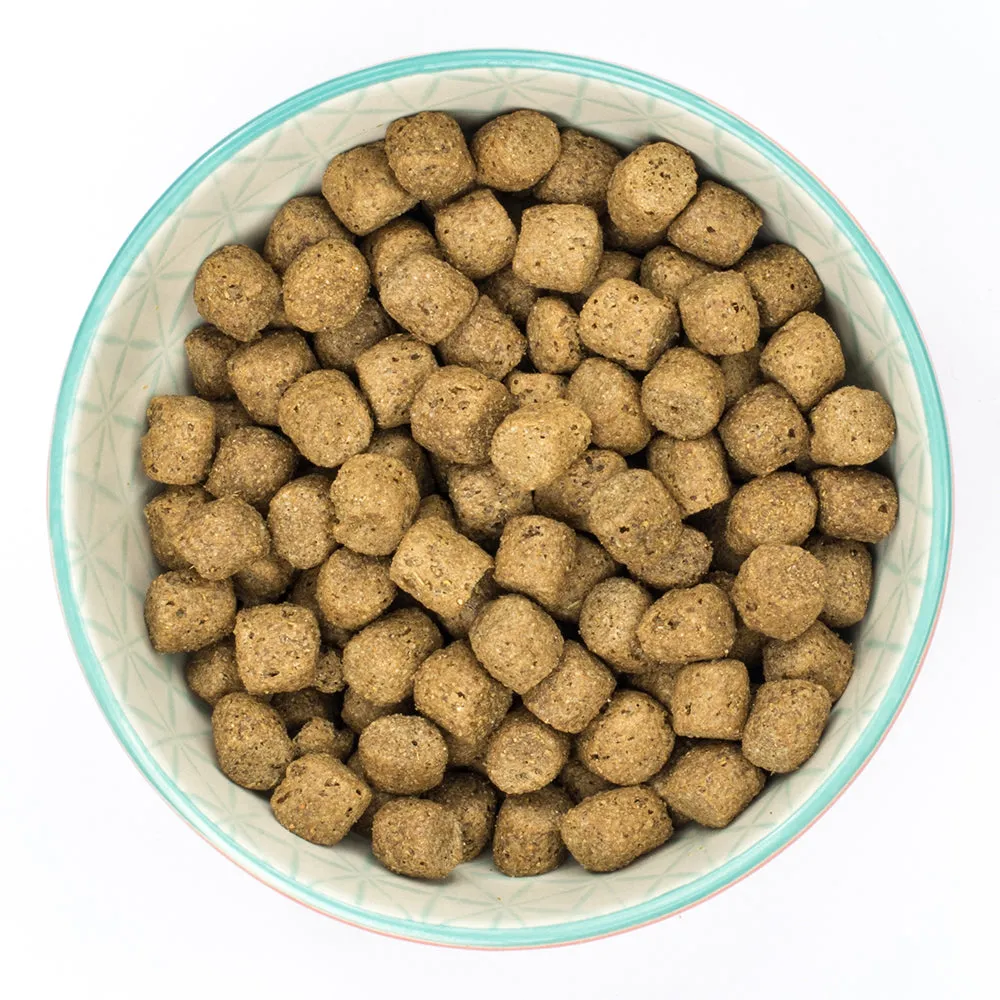 Burns Senior Plus Chicken & Brown Rice Medium & Large Dog