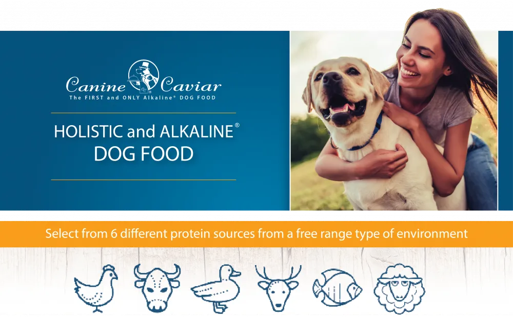 Canine Caviar Special Needs Alkaline Holistic Entree Dry Dog Food