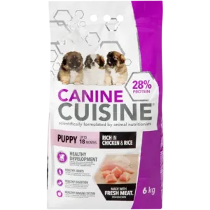 Canine Cuisine Breakfast Booster Superfood Dog Biscuits 500g