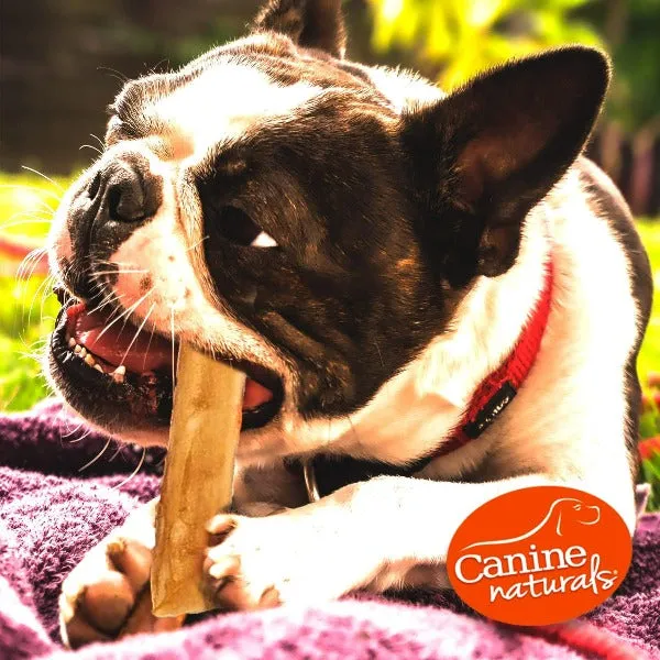 Canine Naturals Hide Free Beef Sticks Dog Chew
