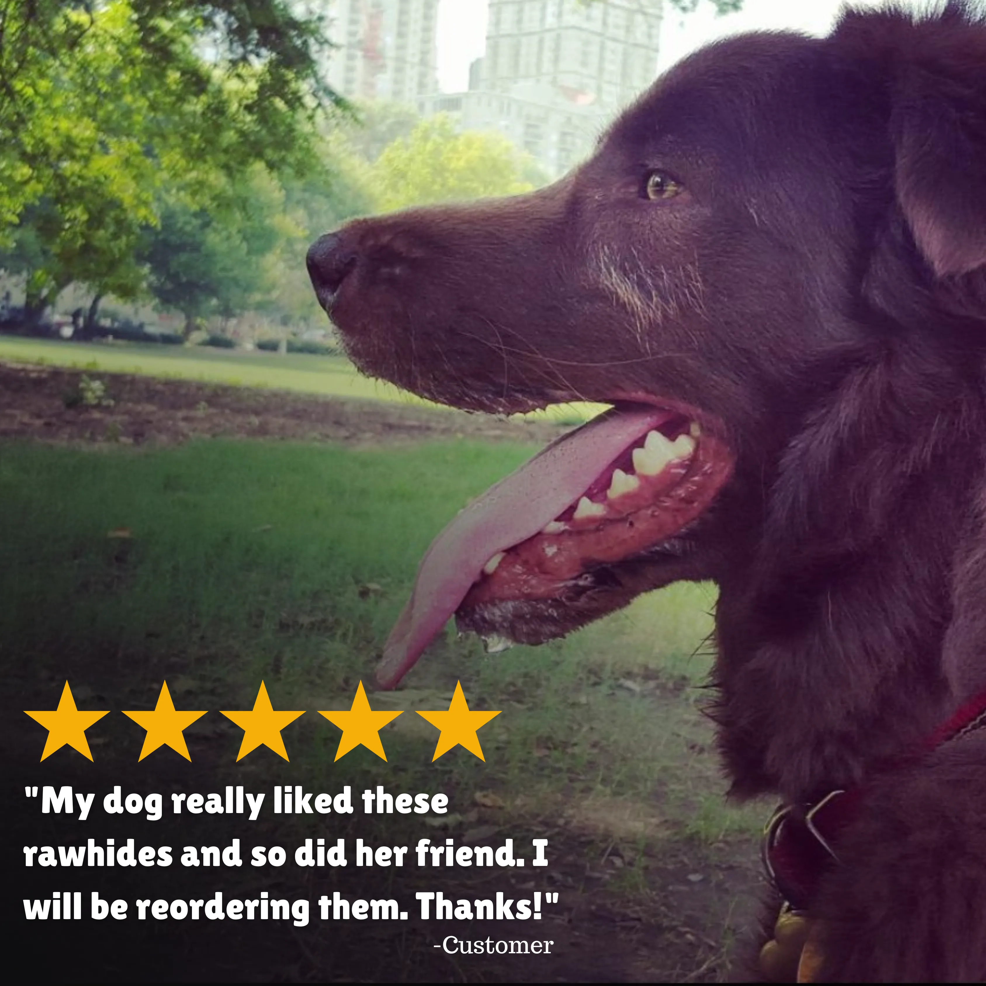 Chicken Basted Beefhide: Retriever