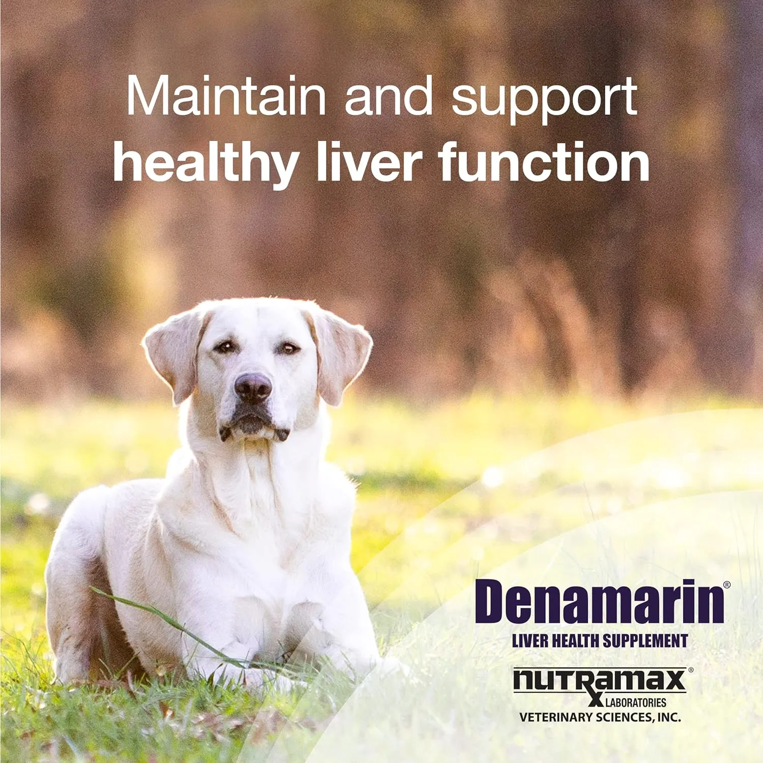 Denamarin Liver Health Chewable Tablets