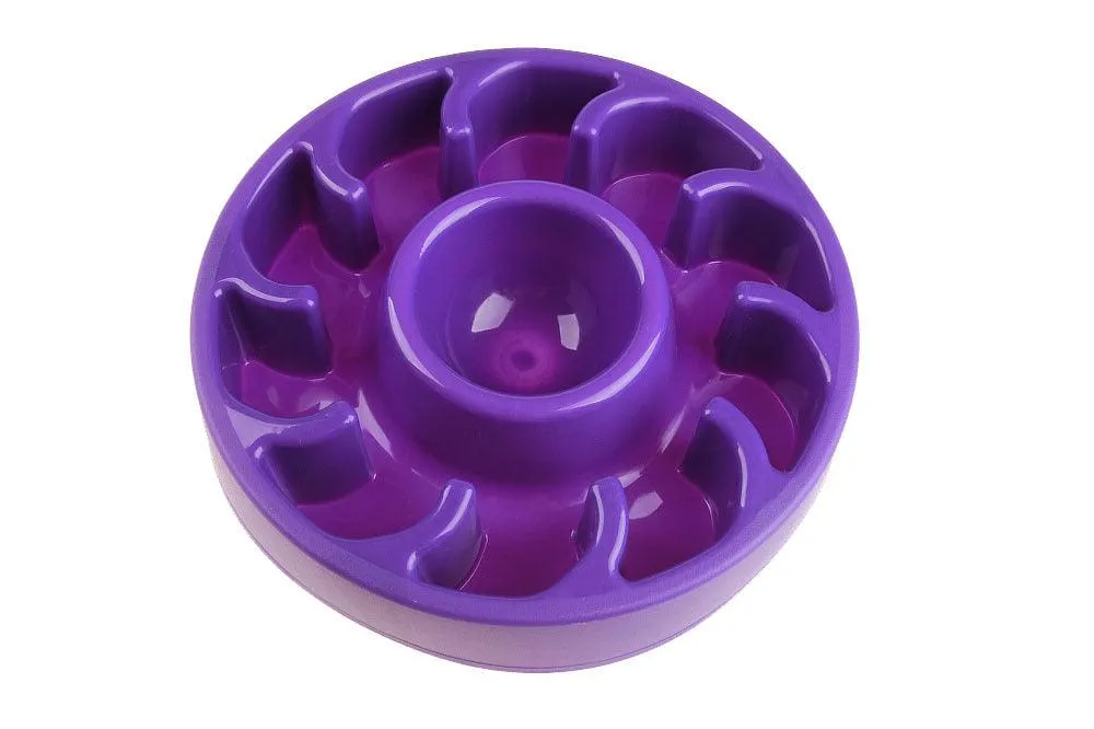 Dog's Slow Eating Bowl
