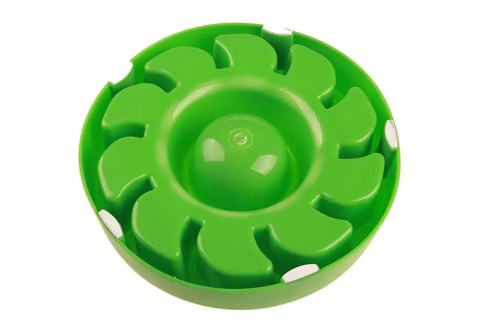 Dog's Slow Eating Bowl