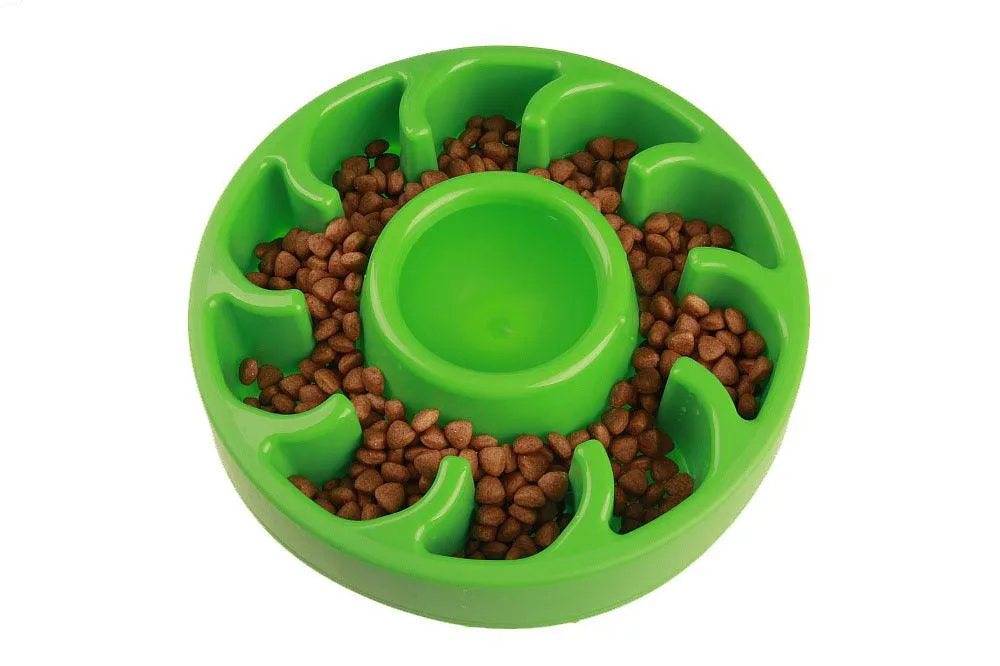 Dog's Slow Eating Bowl