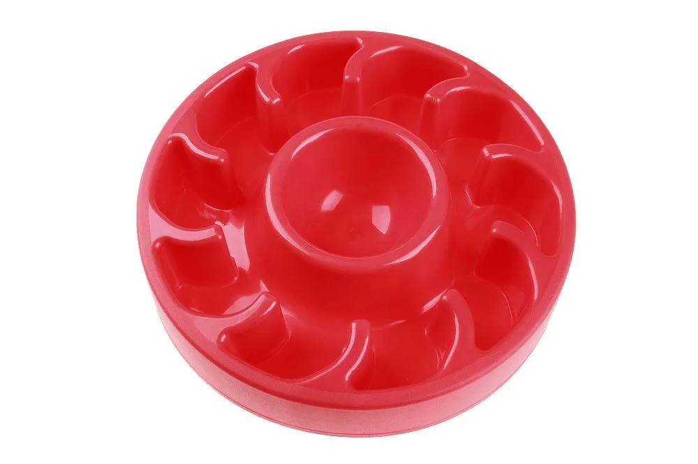 Dog's Slow Eating Bowl