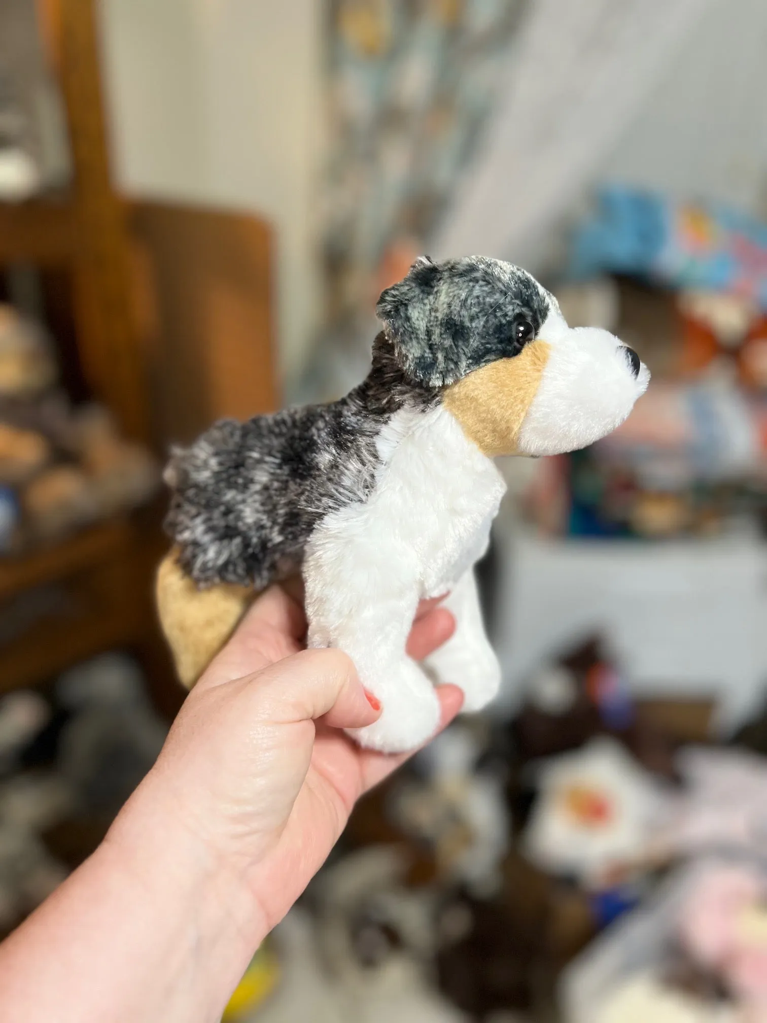 Douglas Aussie Soft Plushie - 8 inch