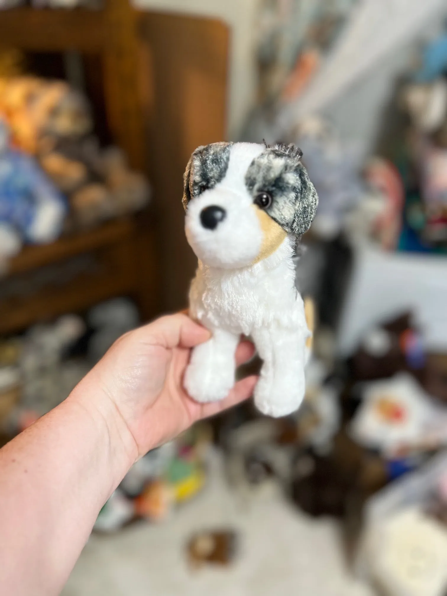 Douglas Aussie Soft Plushie - 8 inch