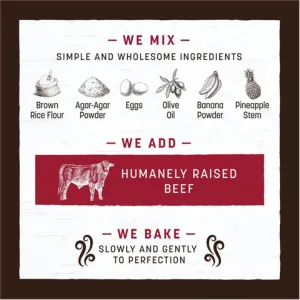 Earth Animal No-Hide Beef Chew Strip 4 count
