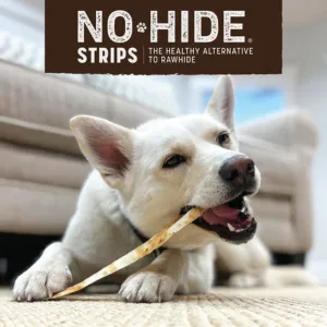 Earth Animal No-Hide Beef Chew Strip 4 count