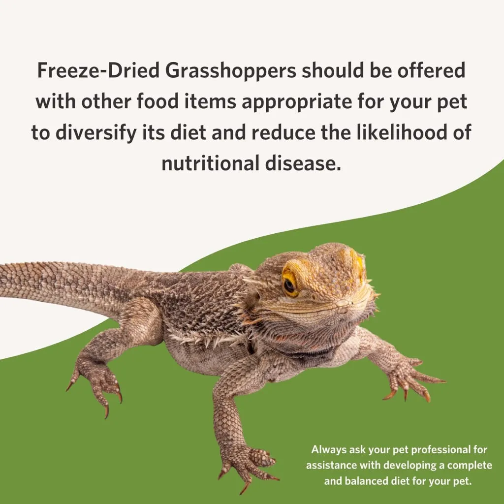 Fluker's Freeze-Dried Grasshoppers for Reptiles & Birds Treats (1 oz)