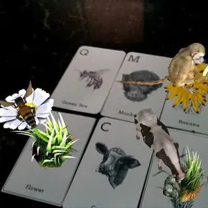 Food Cards <br> To be used with Animal 4D  Cards
