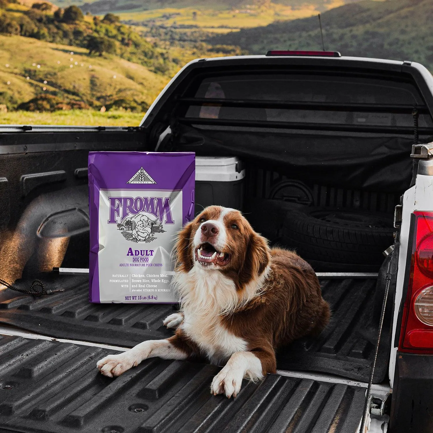 Fromm Classic Adult Dog Food