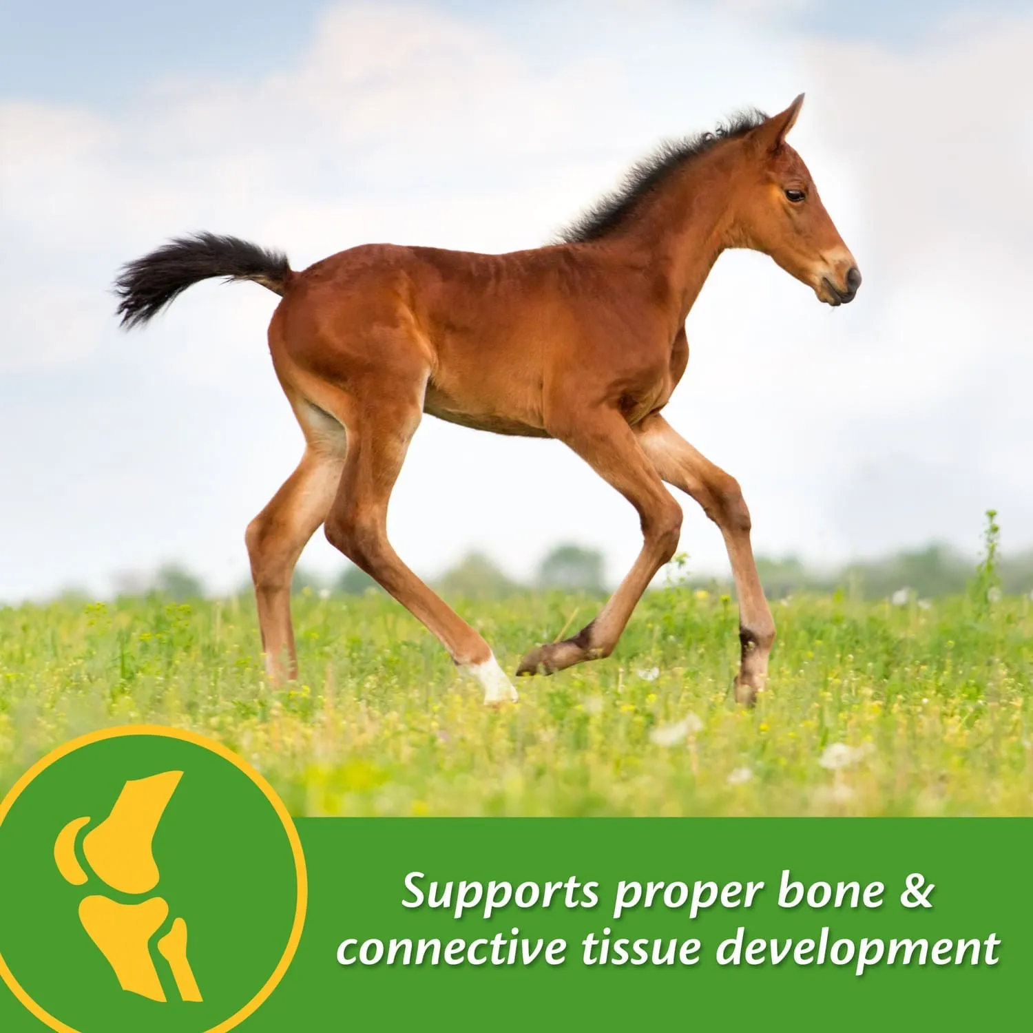 Grow Colt by Farnam