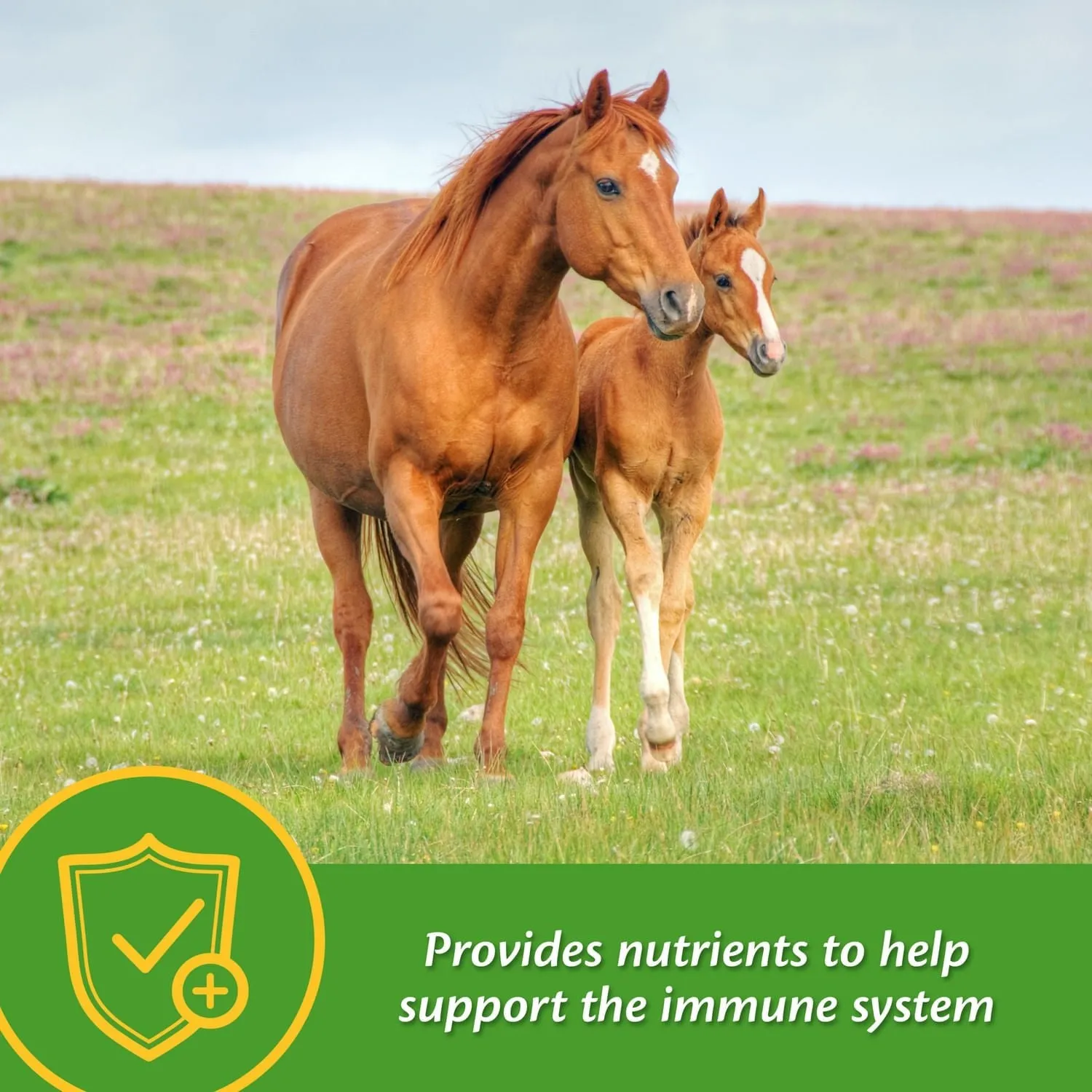 Grow Colt by Farnam
