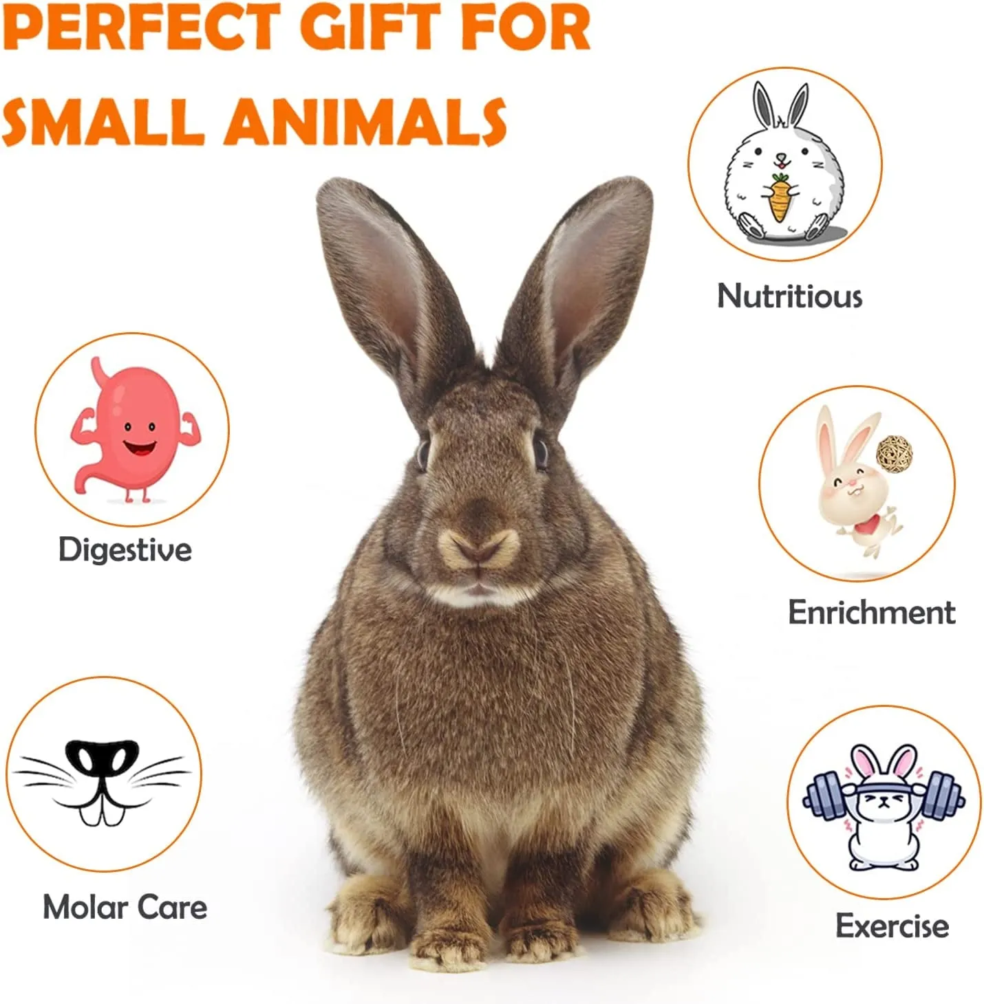 Guinea Pig Toys Rabbit Toys Bunny Toys 15pcs Natural Timothy Hay Hamster Toys for Teeth Handmade Rabbit Chews and Treats Chinchilla Rat Gerbil