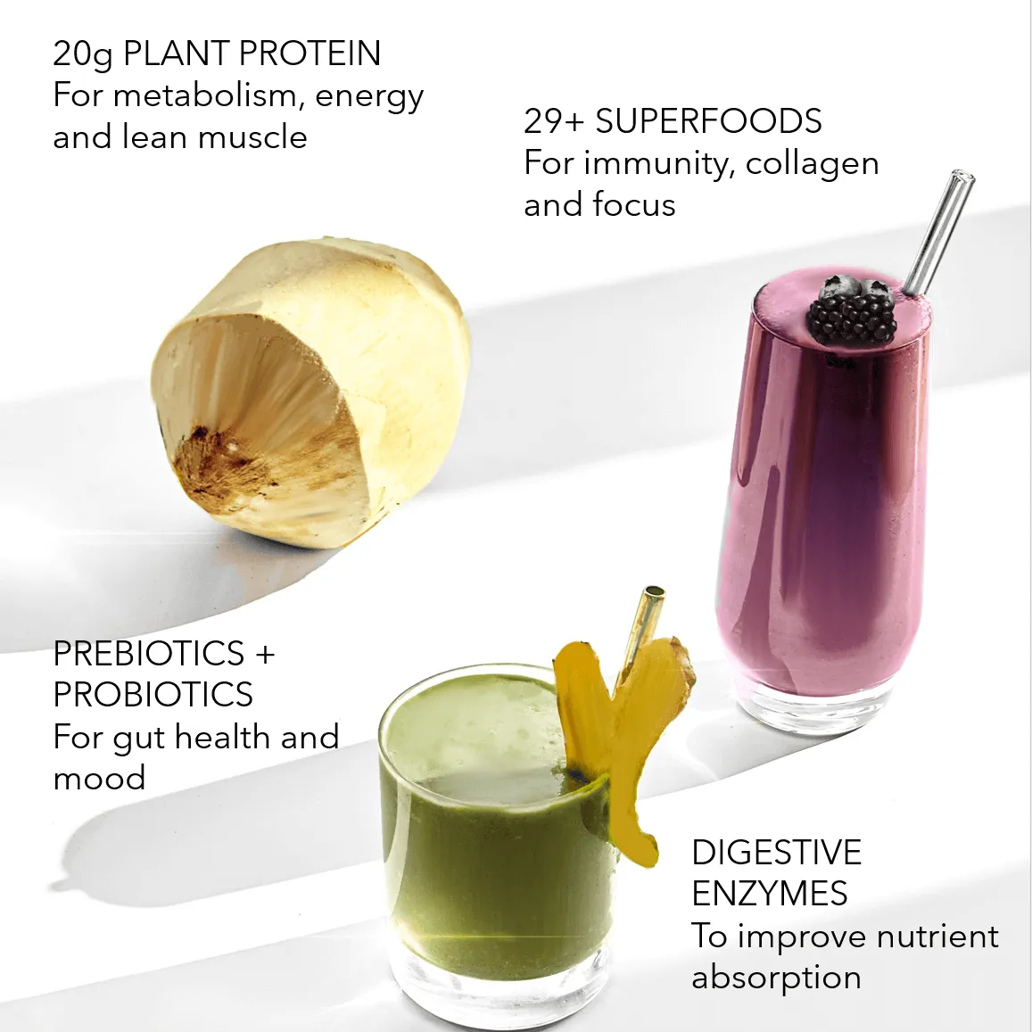 Gut Healing Smoothie Box (30 Pack)