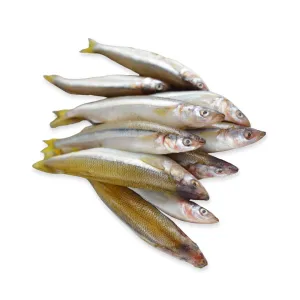 KB Raw Smelt IQF
