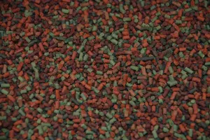 Ken's Premium Mini 5 Stick Blend