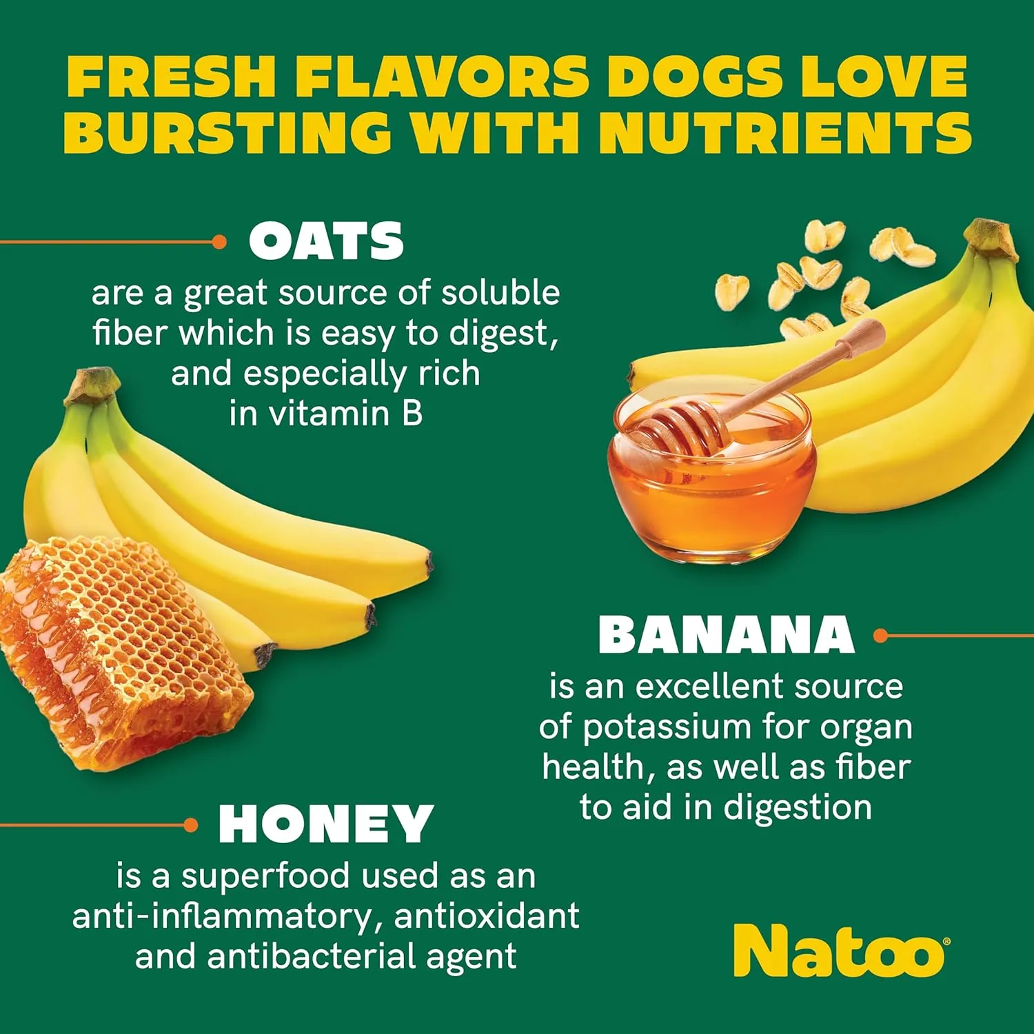 Natoo Crunchy Biscuits Big Bite Oats, Banana, & Honey Flavor for Large Dogs, 8-oz
