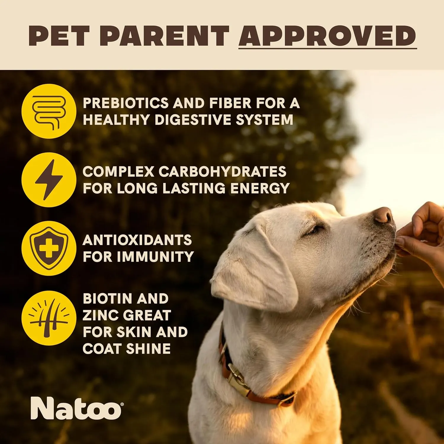 Natoo Crunchy Biscuits Big Bite Oats, Banana, & Honey Flavor for Large Dogs, 8-oz