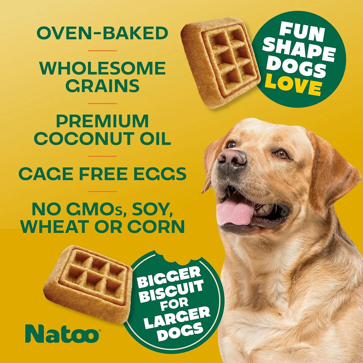 Natoo Crunchy Biscuits Big Bite Oats, Banana, & Honey Flavor for Large Dogs, 8-oz