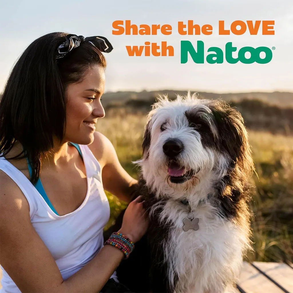 Natoo Crunchy Biscuits Oats & Berries Flavor Dog Treats,  8-oz