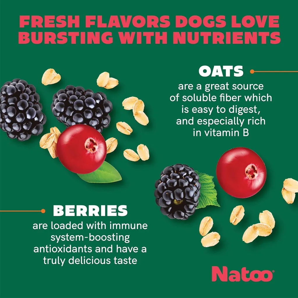 Natoo Crunchy Biscuits Oats & Berries Flavor Dog Treats,  8-oz