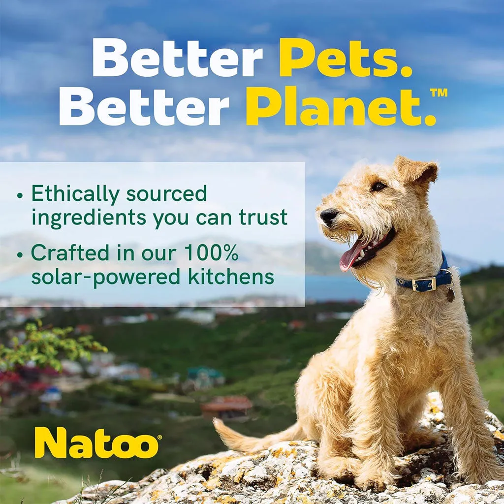 Natoo Crunchy Biscuits Oats & Berries Flavor Dog Treats,  8-oz