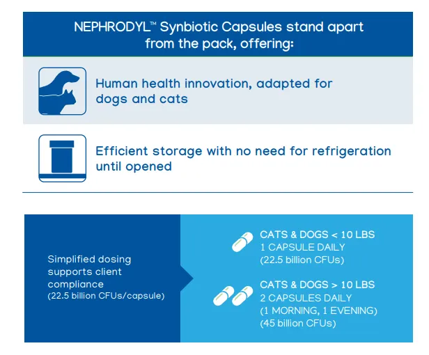 Nephrodyl Synbiotic Capsules Kidney Support for Dogs & Cats (60 capsules)