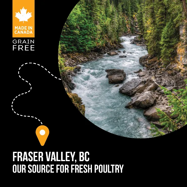 Nutrience SubZero Fraser Valley Small Breed Dry Dog Food