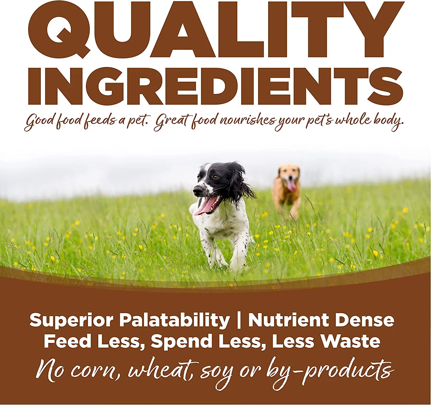 Nutrisource Large Breed Adult Lamb Meal And Rice Recipe 30-lb, Dry Dog Food