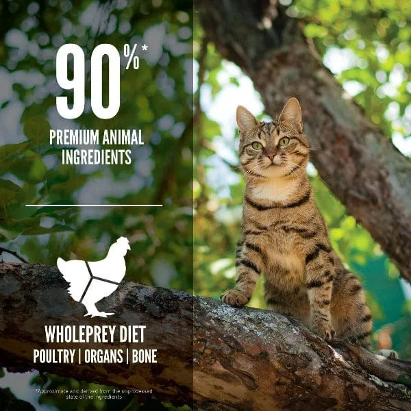 Orijen Guardian 8 Cat Dry Food