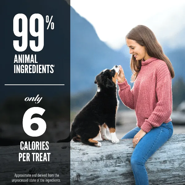 Orijen Lamb Recipe Freeze-Dried Dog Treats