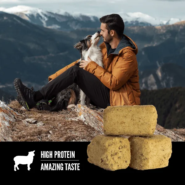 Orijen Lamb Recipe Freeze-Dried Dog Treats
