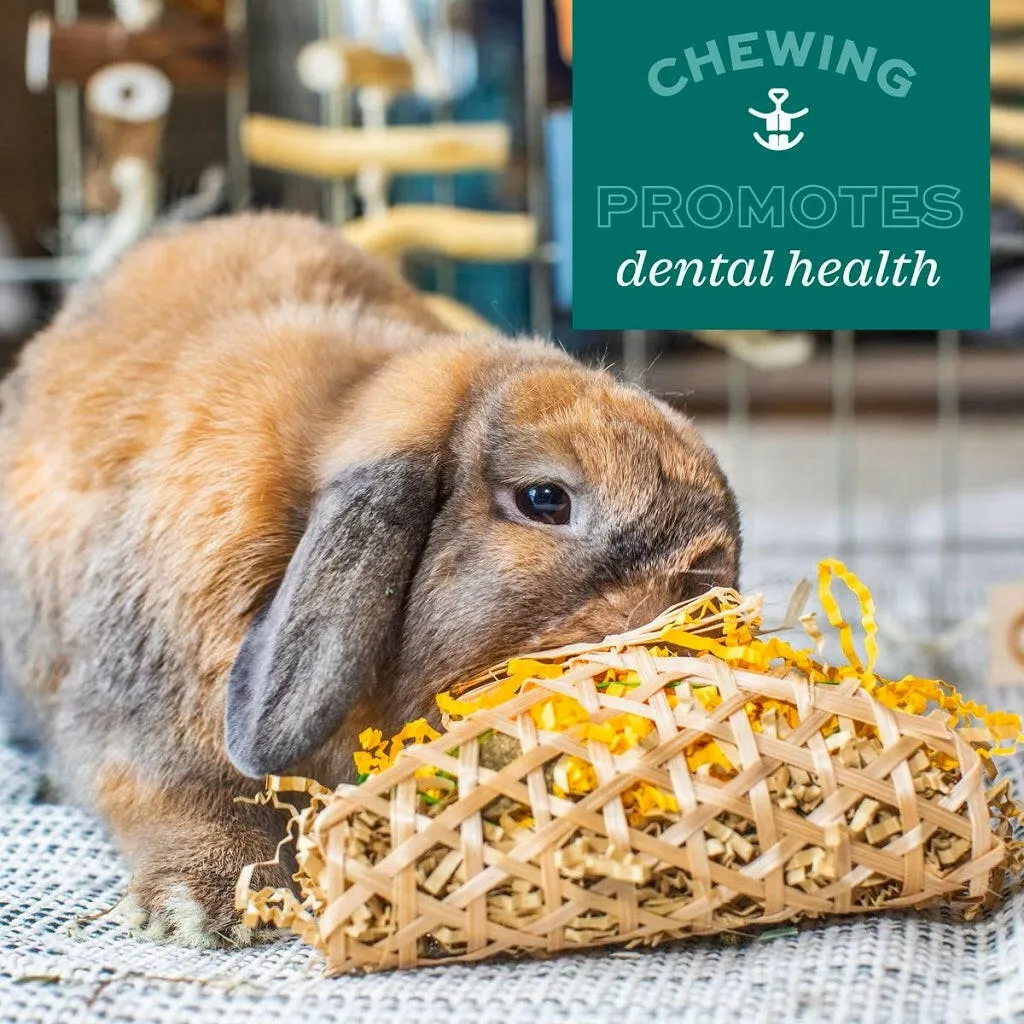 Oxbow Animal Health Enriched Life Timothy Apple Slice Small Animal Chew Toy