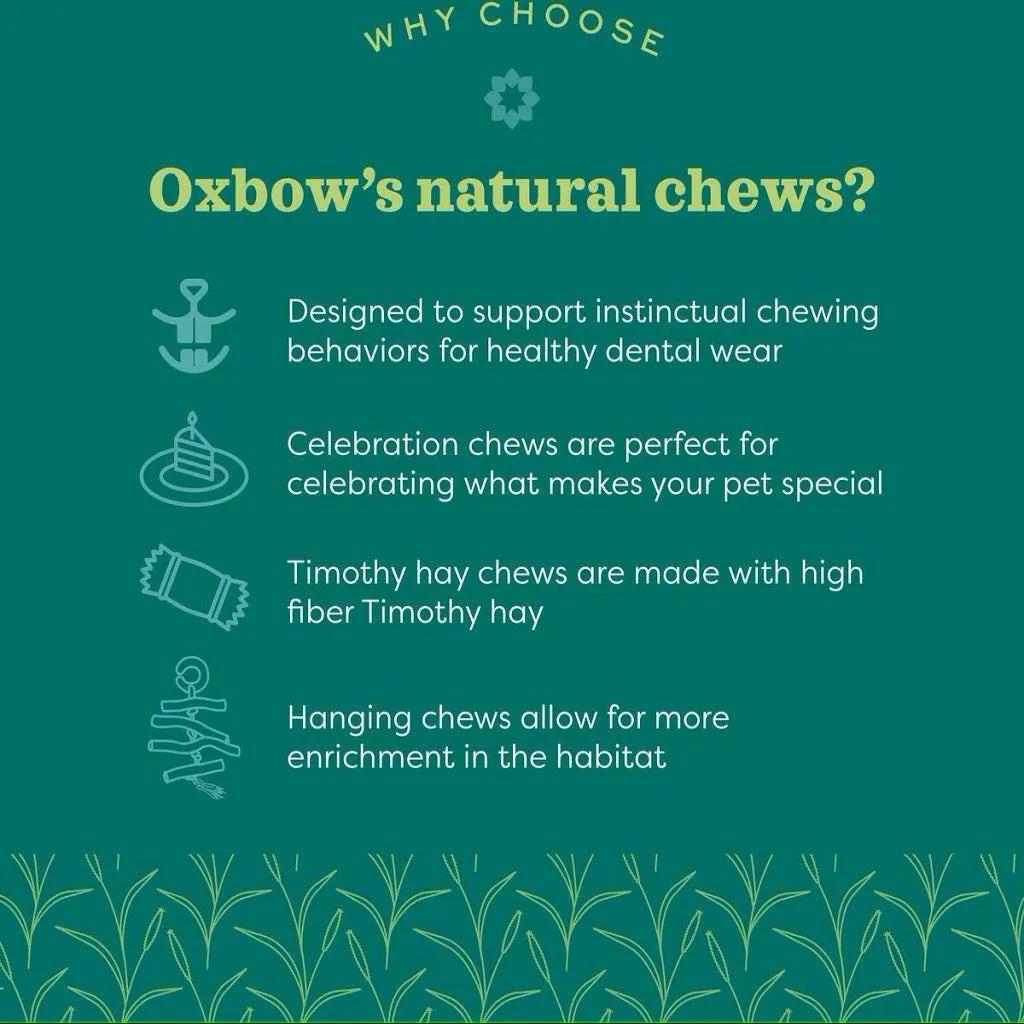 Oxbow Animal Health Enriched Life Timothy Apple Slice Small Animal Chew Toy