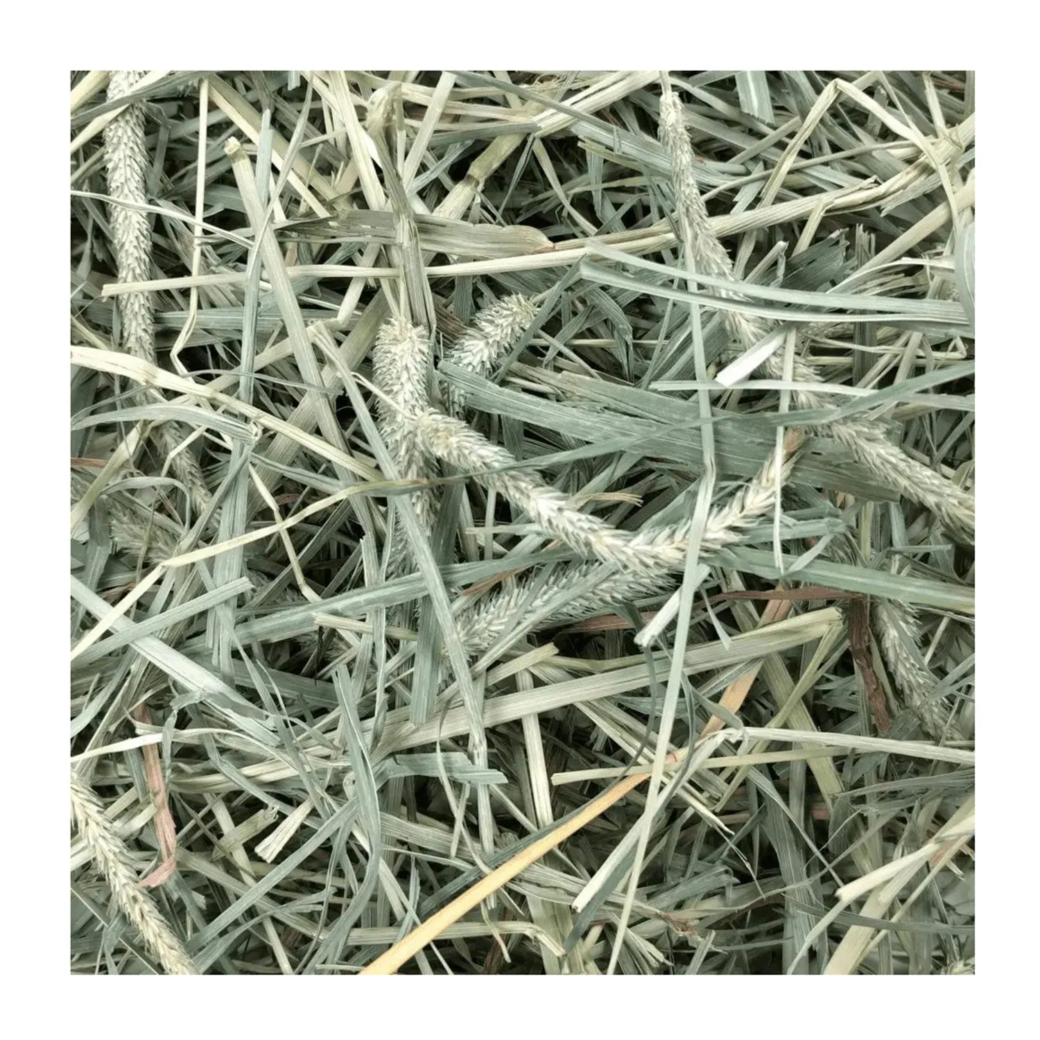 Oxbow Hay Blends Western Timothy & Orchad Hay
