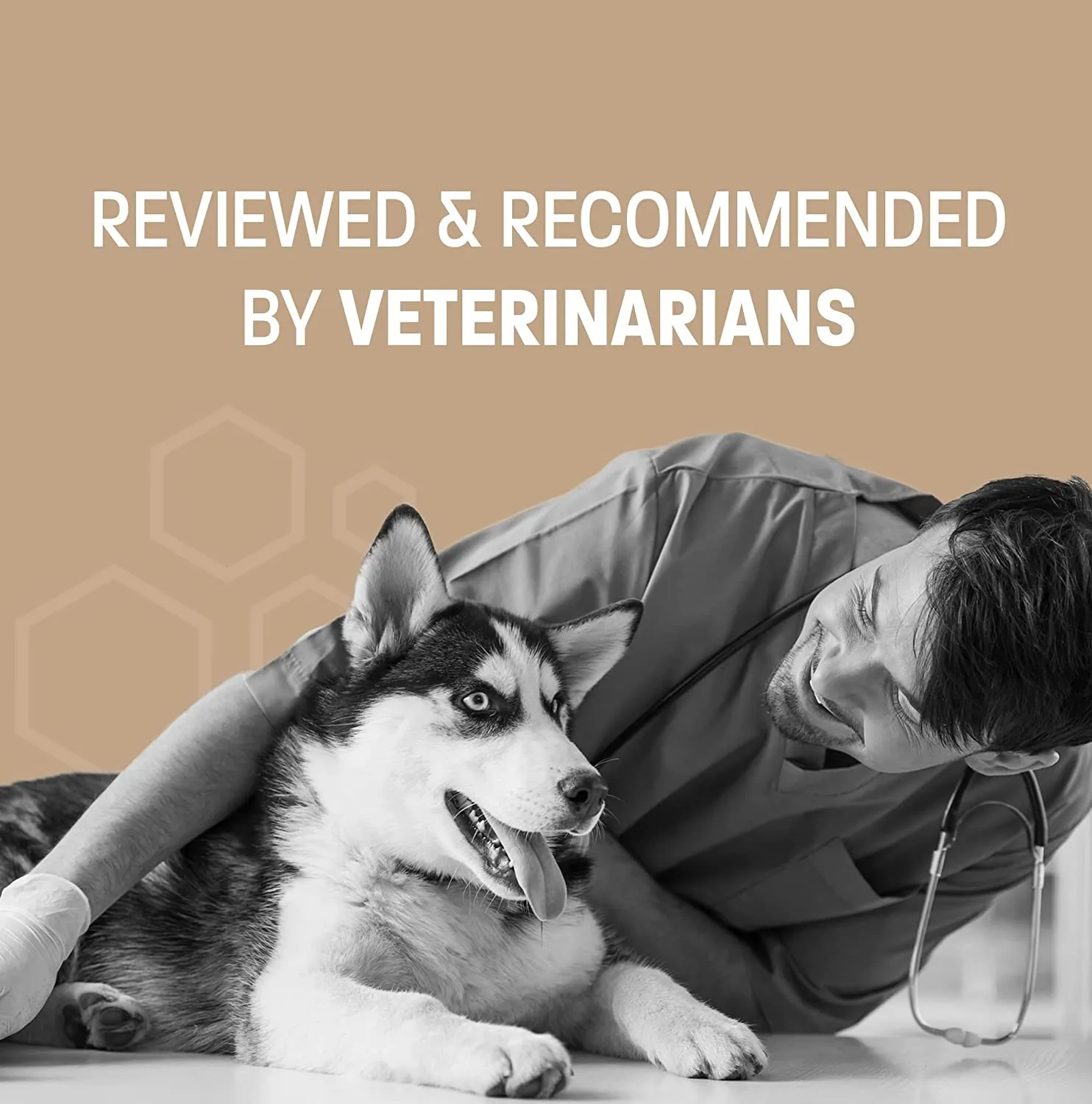 Pet Health Pros Chewable Fish Oil Supplement for Dogs and Cats; Joint Support; Skin and Coat Health; Immune System Booster; Pack of 60; USA Made