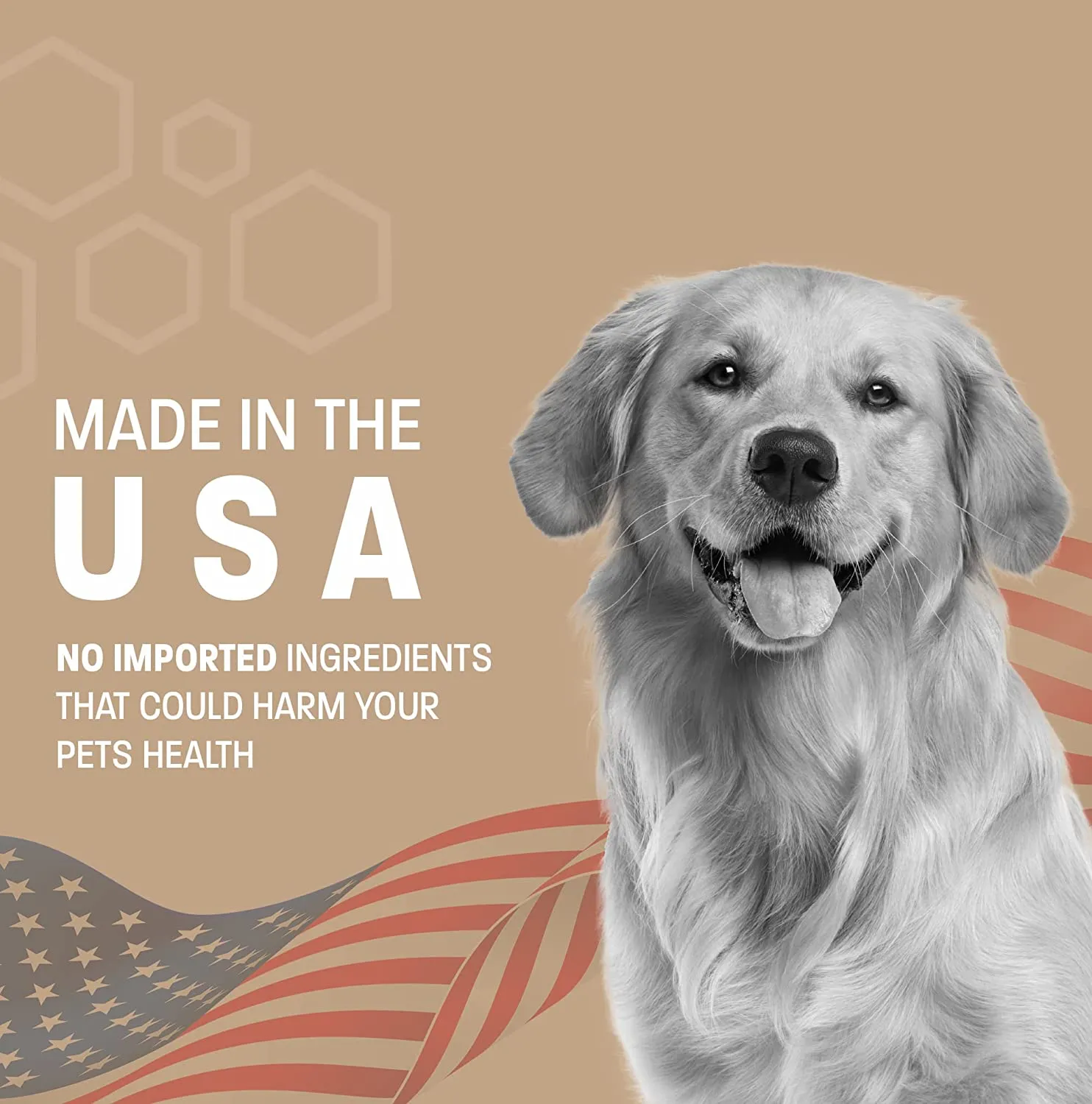 Pet Health Pros Chewable Fish Oil Supplement for Dogs and Cats; Joint Support; Skin and Coat Health; Immune System Booster; Pack of 60; USA Made