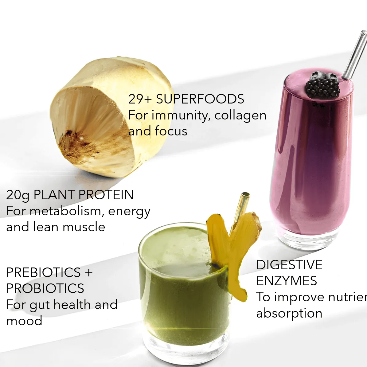 Plant Protein   Superfood Smoothie Mix (Sample Box)