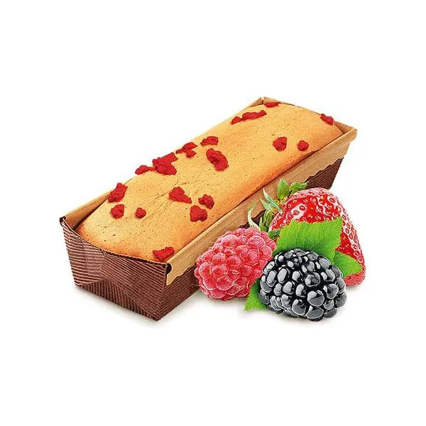 Rio Biscuits for All Birds with Wild Berries