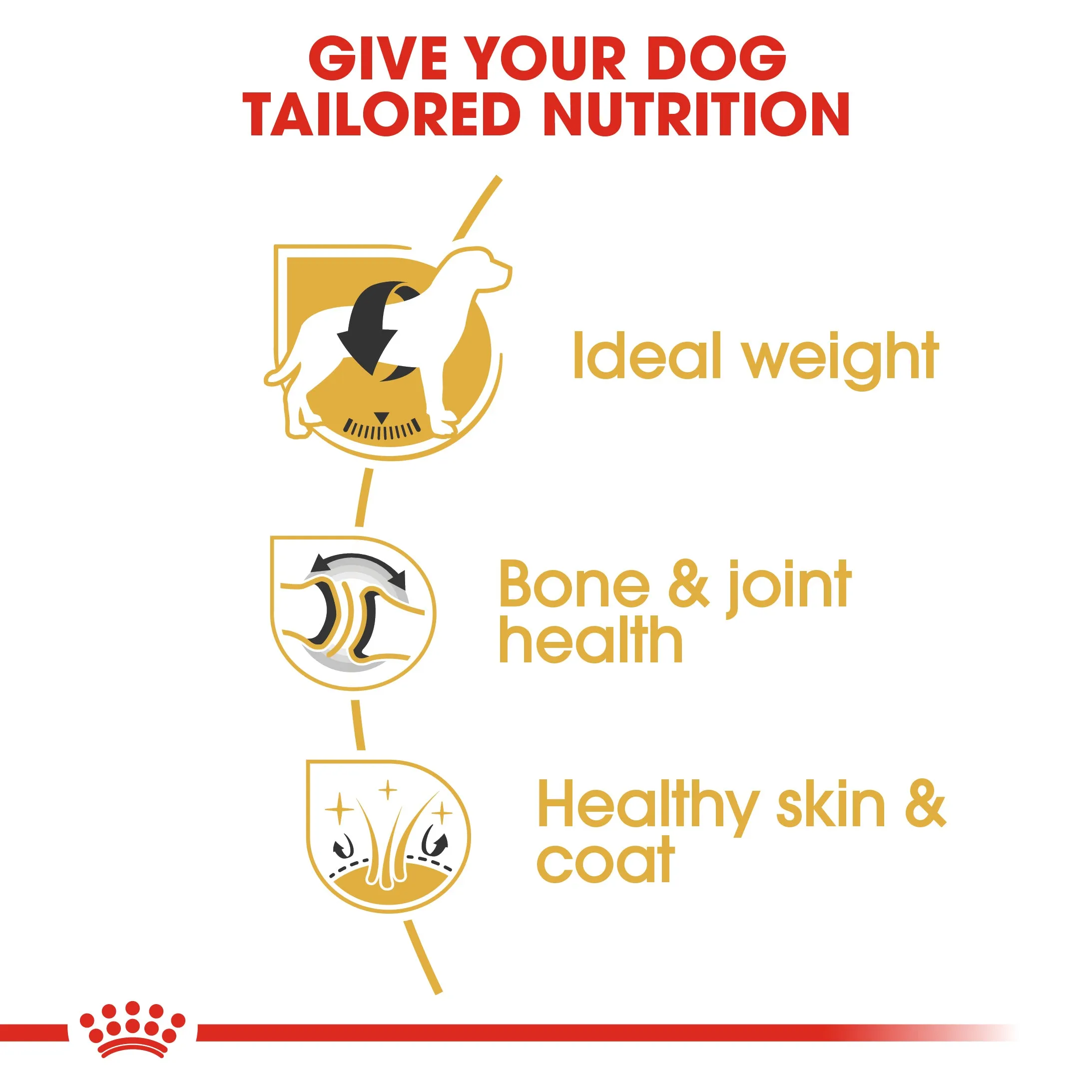 Royal Canin Labrador Retriever Adult