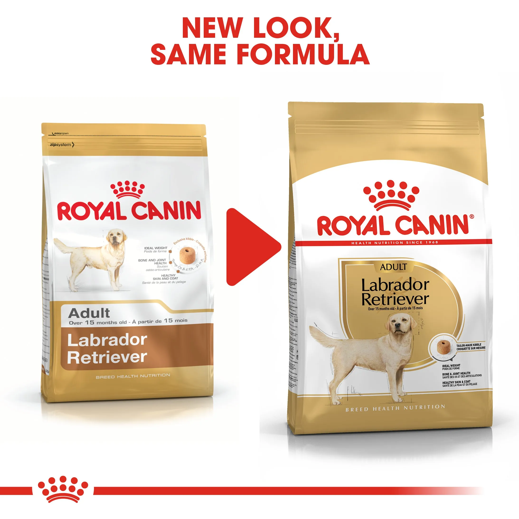 Royal Canin Labrador Retriever Adult