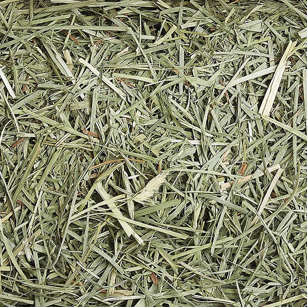 Sunseed SunSations Natural Timothy Hay