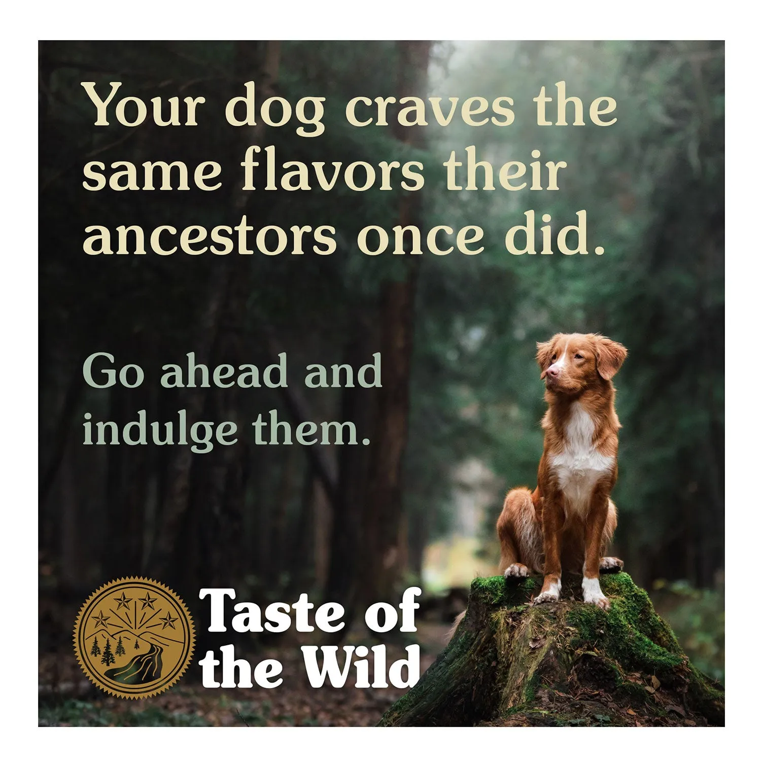 Taste of the Wild Grain Free Pine Forest Adult Dry Dog Food