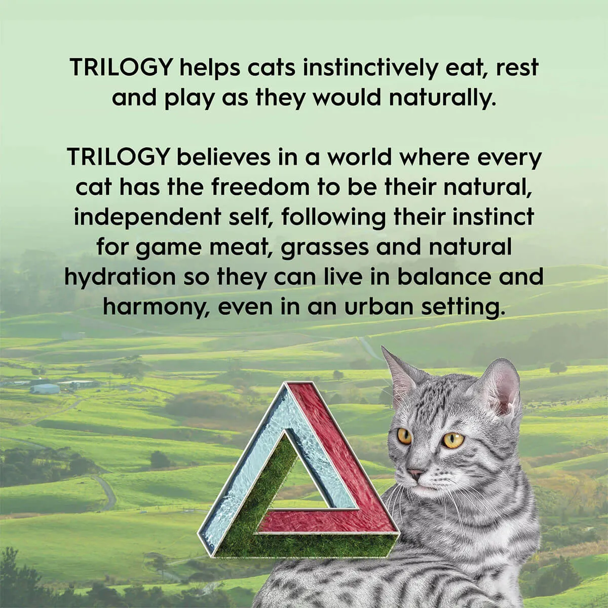 Trilogy Freeze Dried Lamb Cat Treats 50G